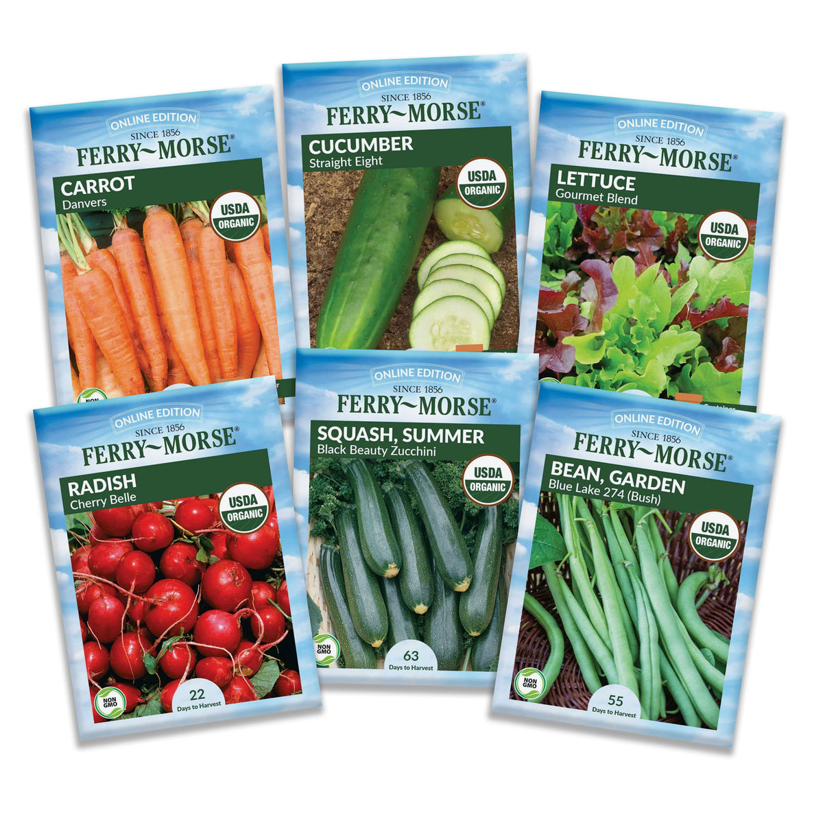 Six Ferry-Morse vegetable seed packets on deplay