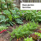 Vegetable garden with call out saying easy garden favorites 