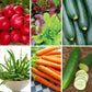 Vegetables in a grid format