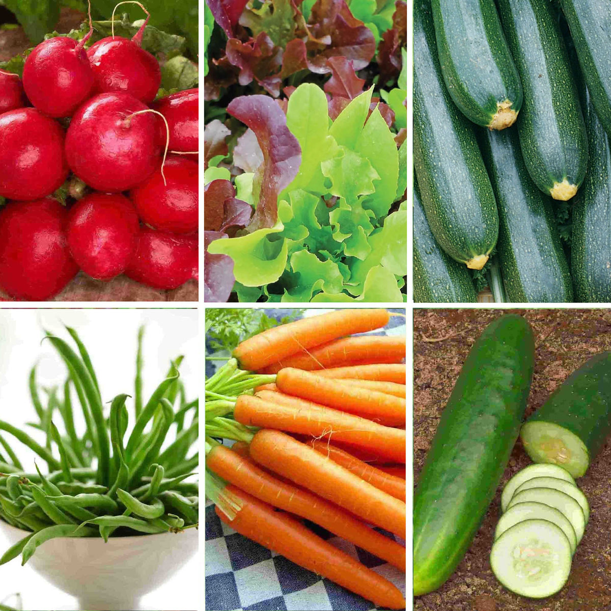Vegetables in a grid format