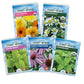 Five seed packets with flowers and herbs