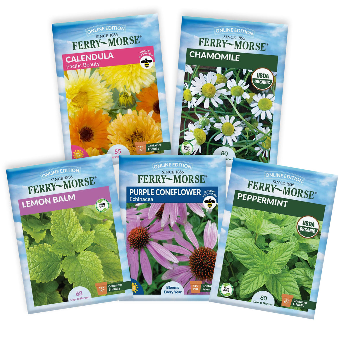 Five seed packets with flowers and herbs