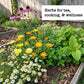 Herbs and flowers growing in garden bed with call out saying herbs for tea, cooking and wellness.