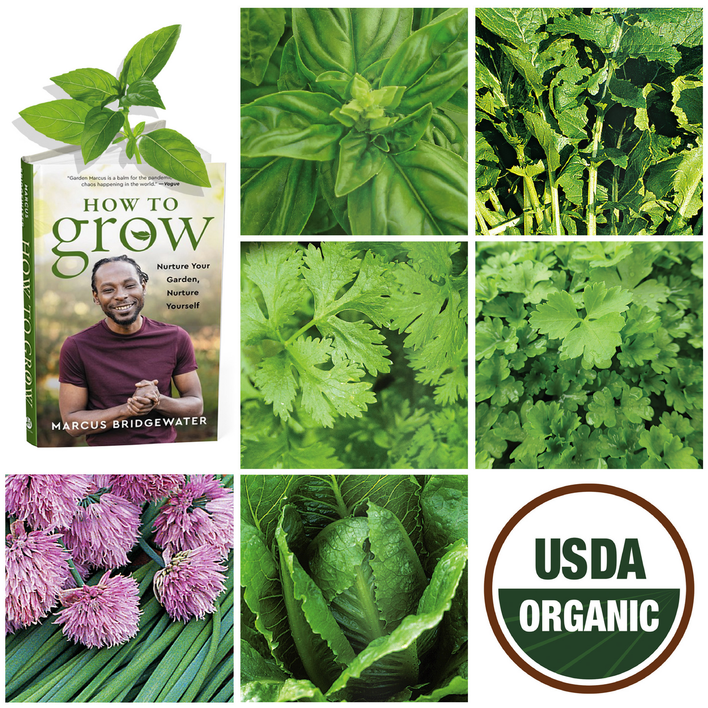 "How to Grow" Book by Marcus Bridgewater & Ferry-Morse Organic Seeds Gift Set