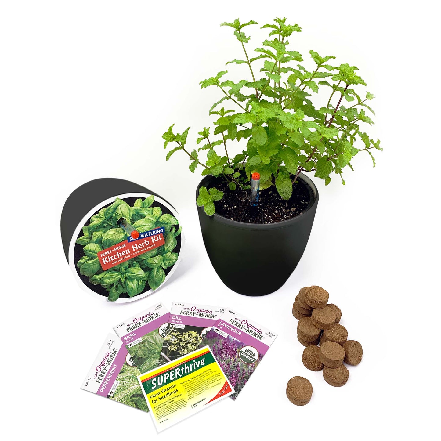 Kitchen Herb Kit with 7" Self Watering Planter