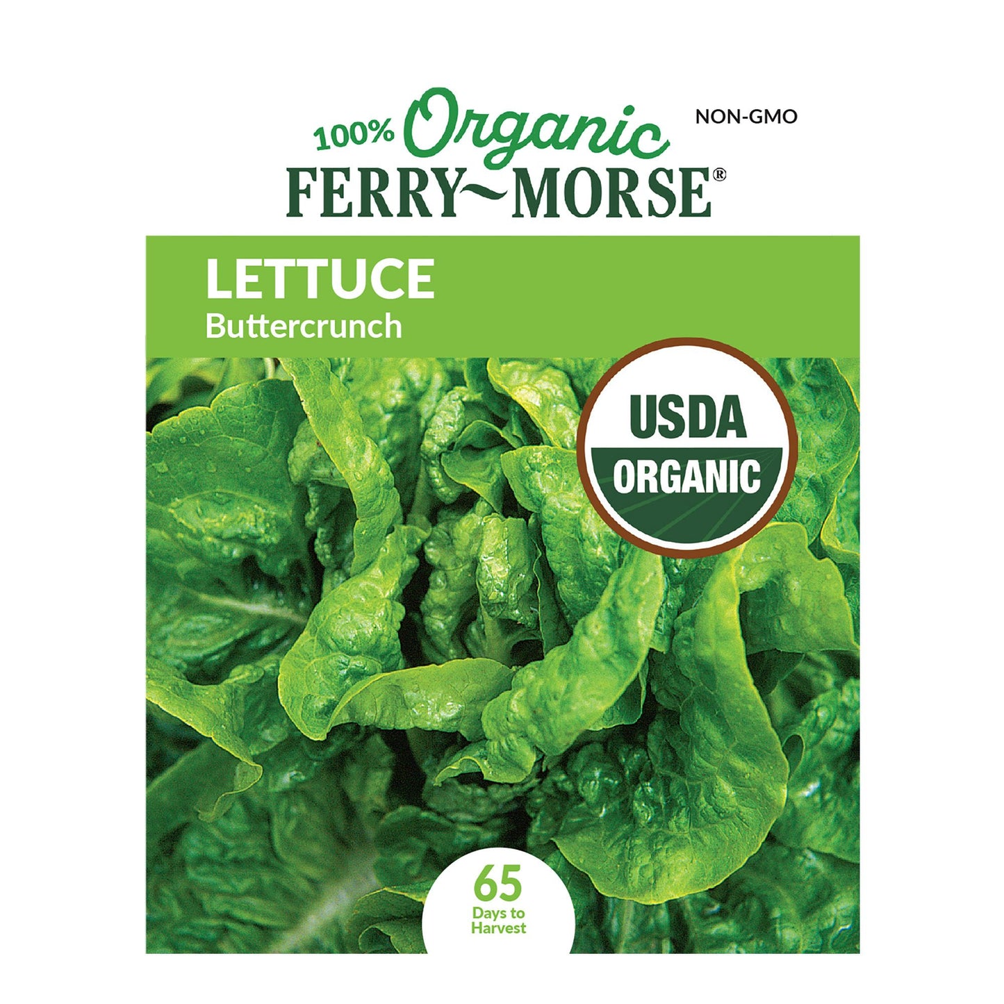 Lettuce, Buttercrunch Organic Seeds