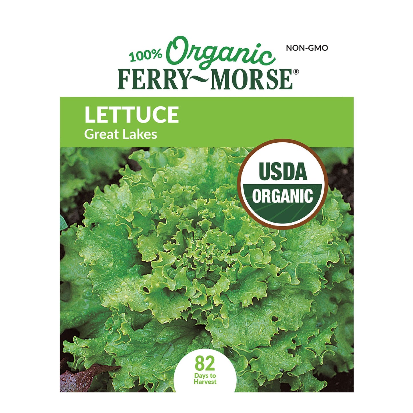 Lettuce, Great Lakes Organic Seeds