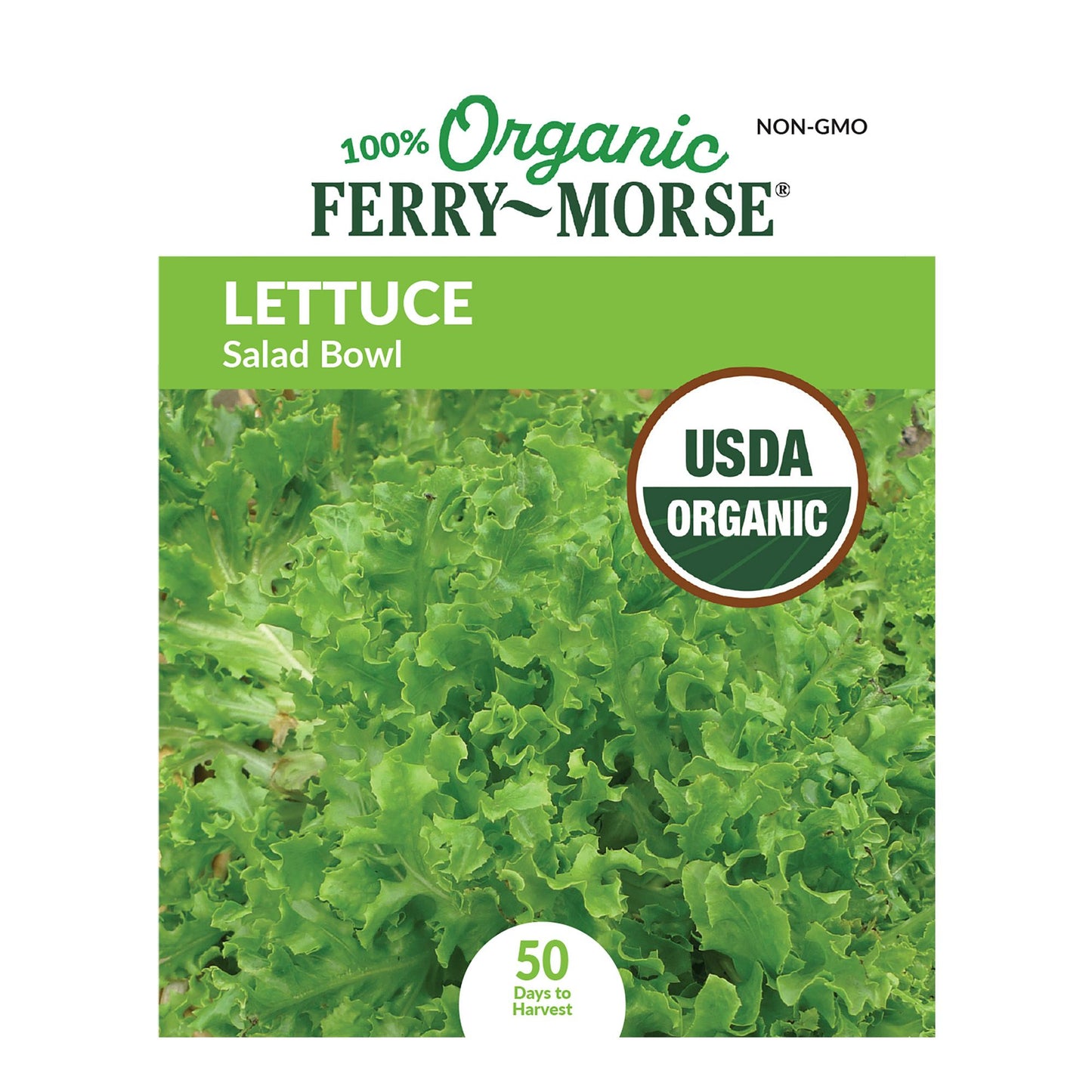 Lettuce, Salad Bowl Organic Seeds