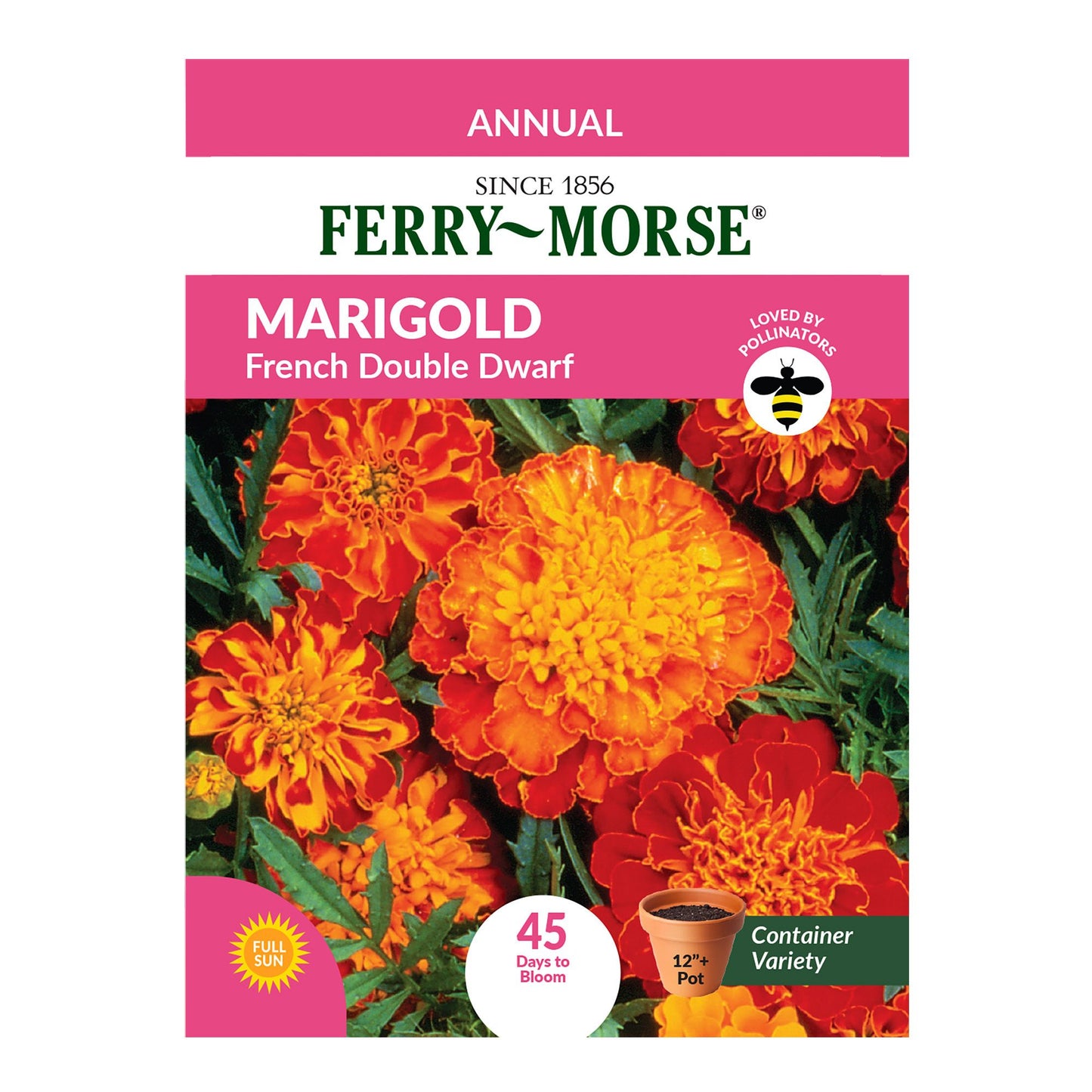 Marigold, French Double Dwarf Seeds