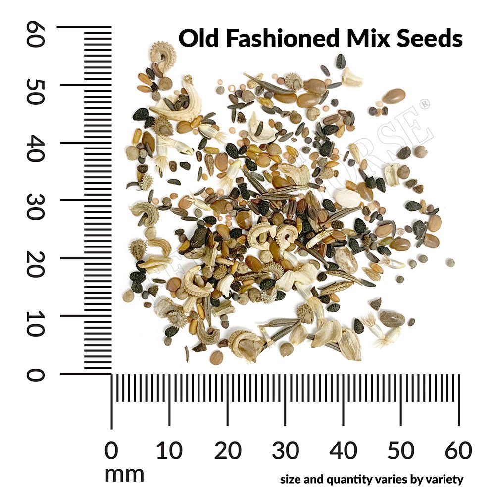 Old Fashioned Garden Mix Seeds | Flower Garden | Garden Decoration