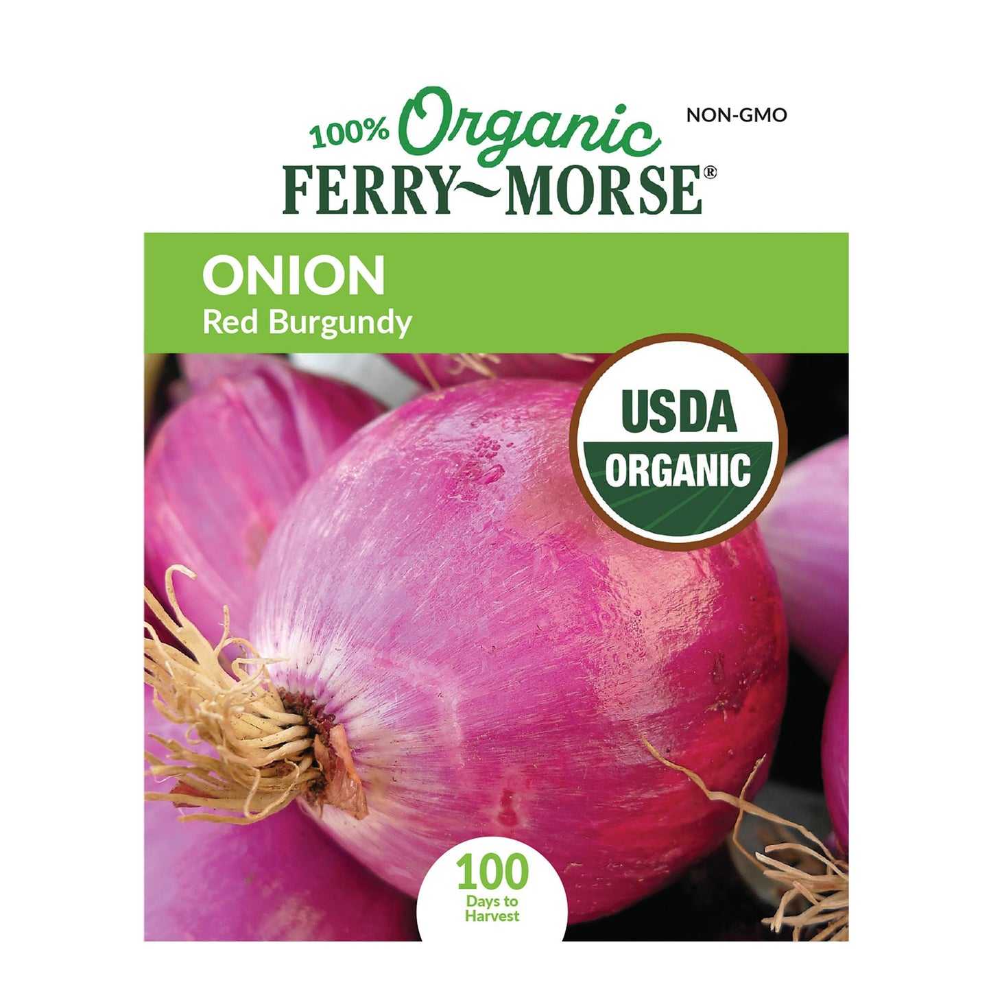 Onion, Red Burgundy Organic Seeds