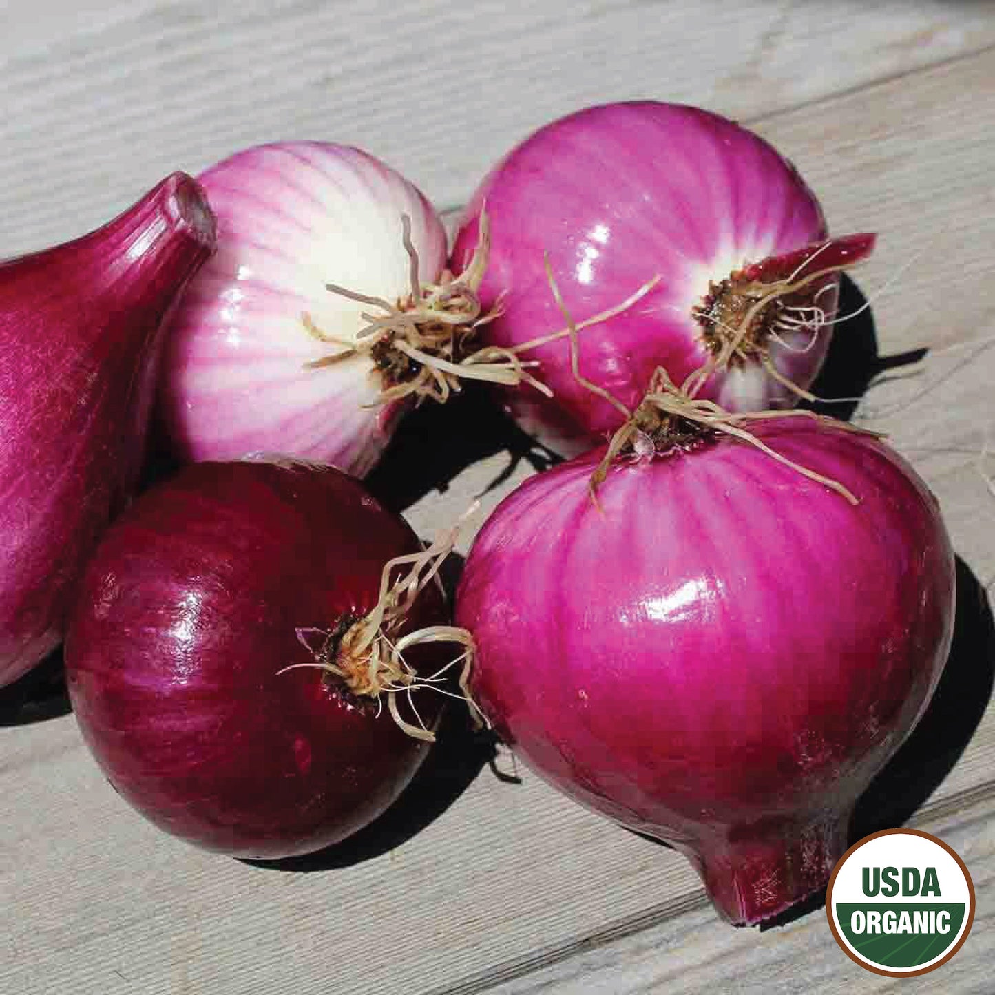 Onion, Red Burgundy Organic Seeds