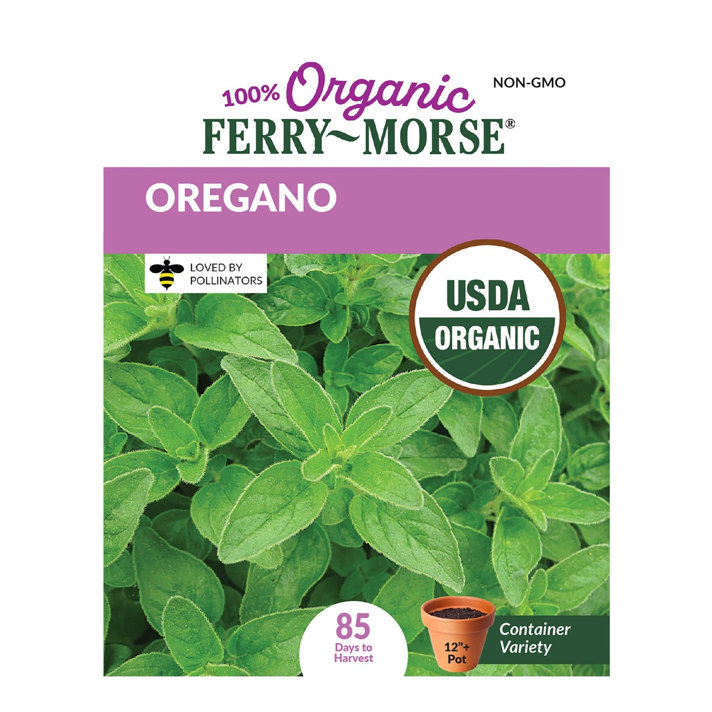 Oregano, Organic Seeds