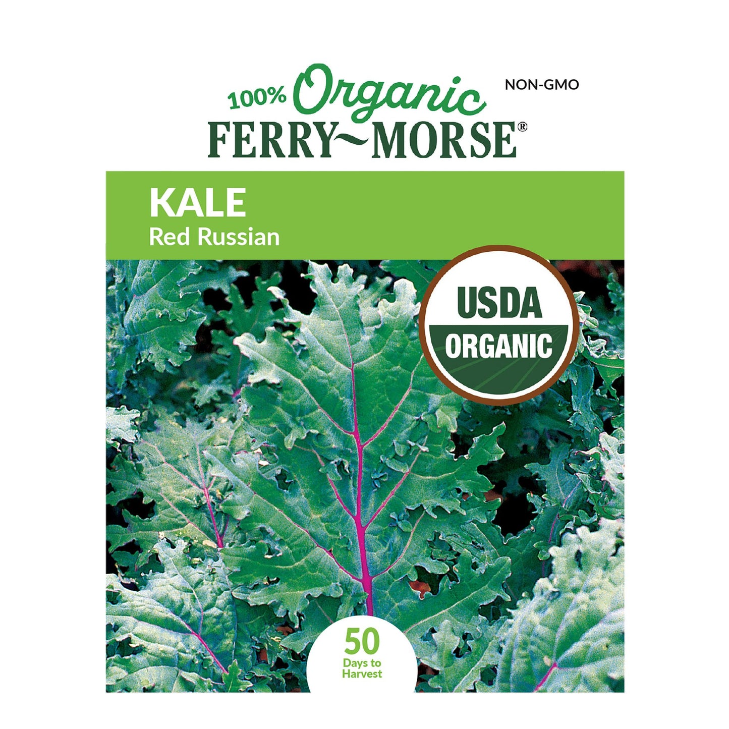 Kale, Red Russian Organic Seeds