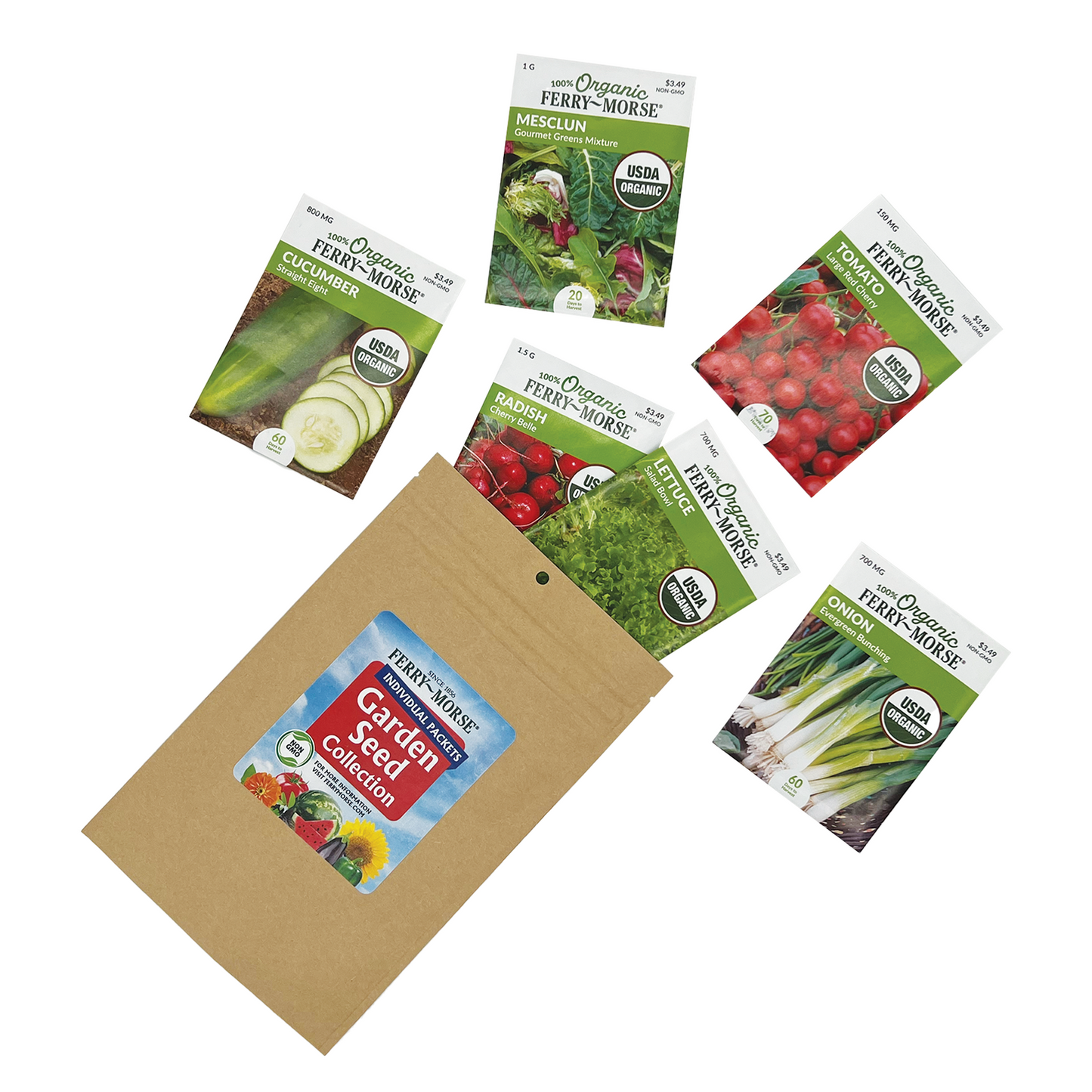 Organic Salad Garden Seed Bundle (6 Pack)