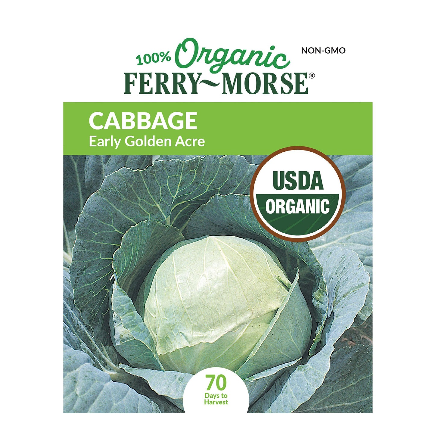 Cabbage, Early Golden Acre Organic Seeds
