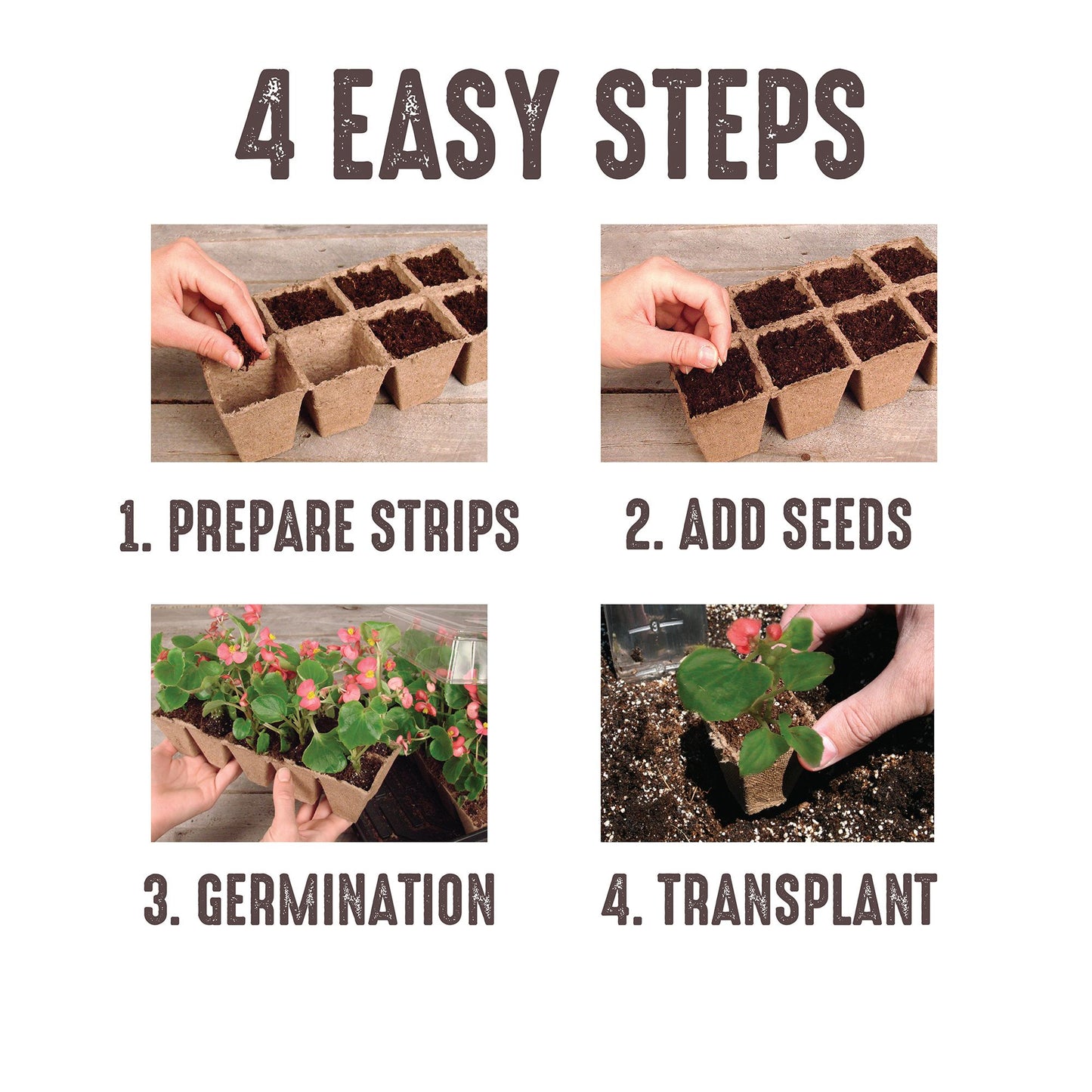 Jiffy-Strips Seed Starting Greenhouse Kit, 50 Peat Cells