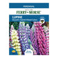 Lupine, Russell's Hybrid Mixed Colors Seeds