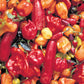 Pepper, Hot Mix Seeds Online Edition