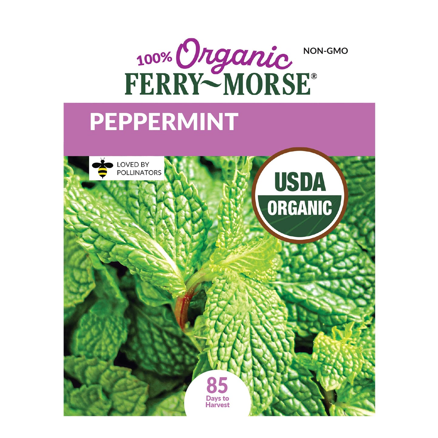 Peppermint Organic Seeds