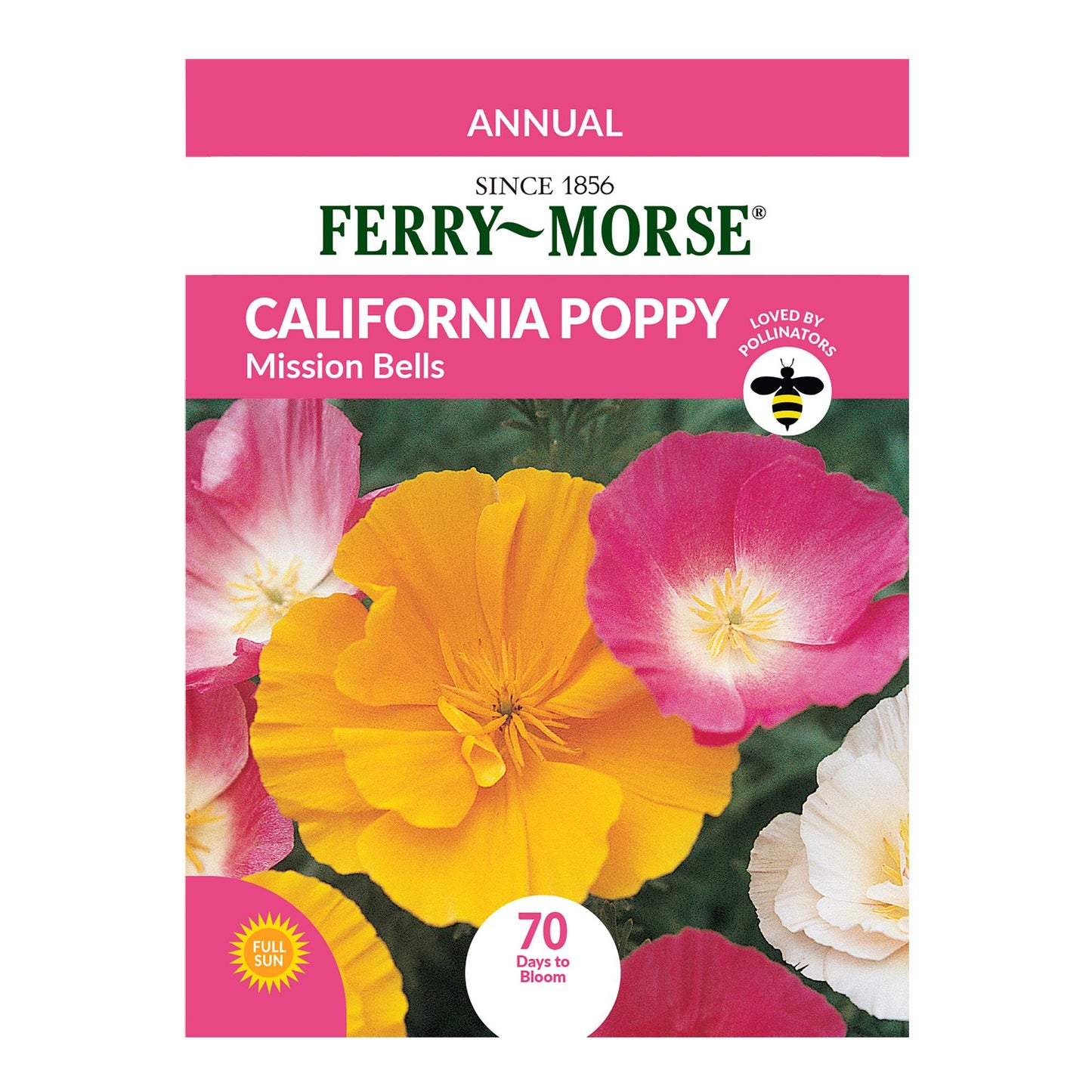 California Poppy, Mission Bells Seeds
