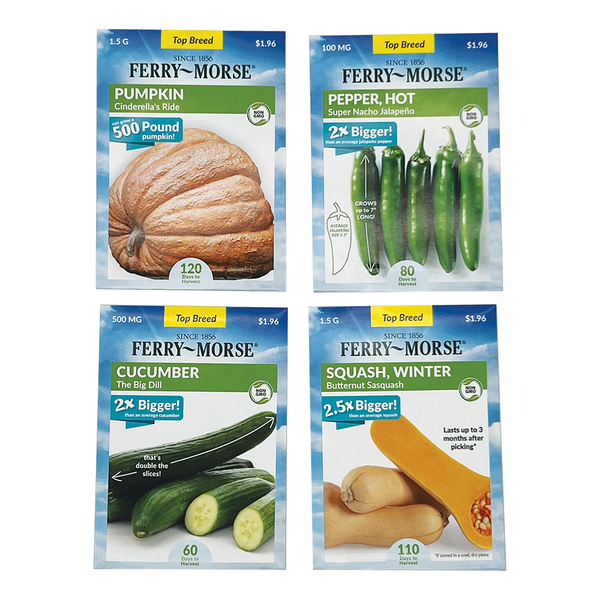 Colossal Vegetable Non-GMO Seed Bundle (4 Pack)