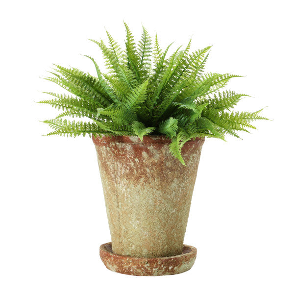 Round Terracotta Cement Planter with Saucer & Distressed Finish