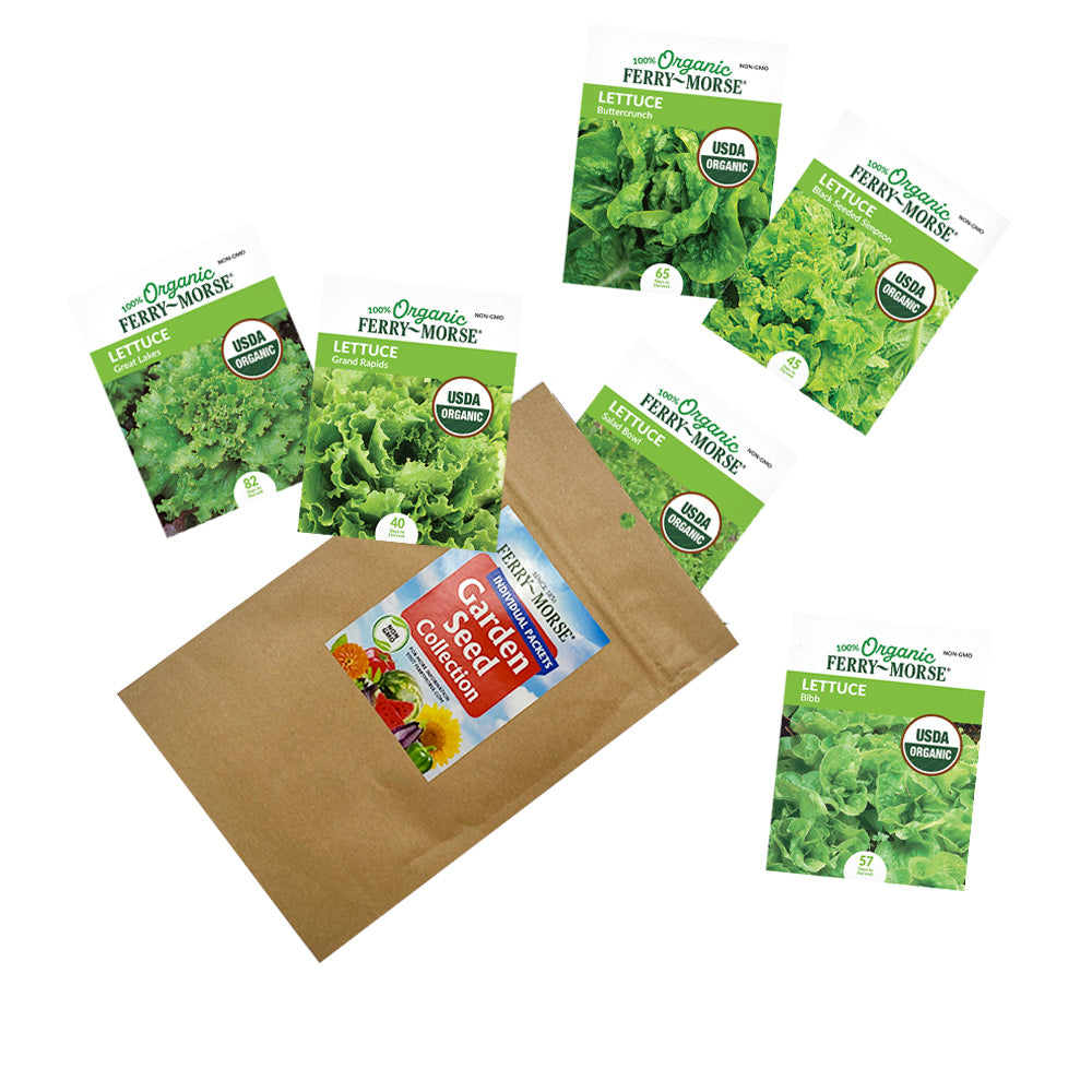 Cold Hardy Organic Lettuce Seed Bundle (6 Pack)