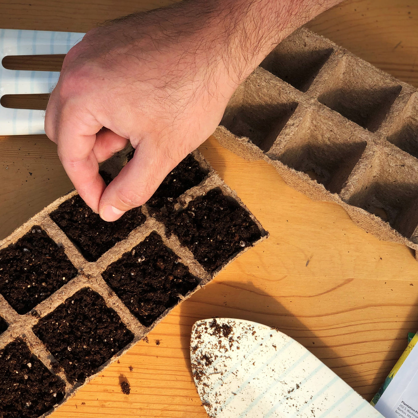 Start your Emerald Okra seeds in Jiffy peat strip trays filled with sowing mix.
