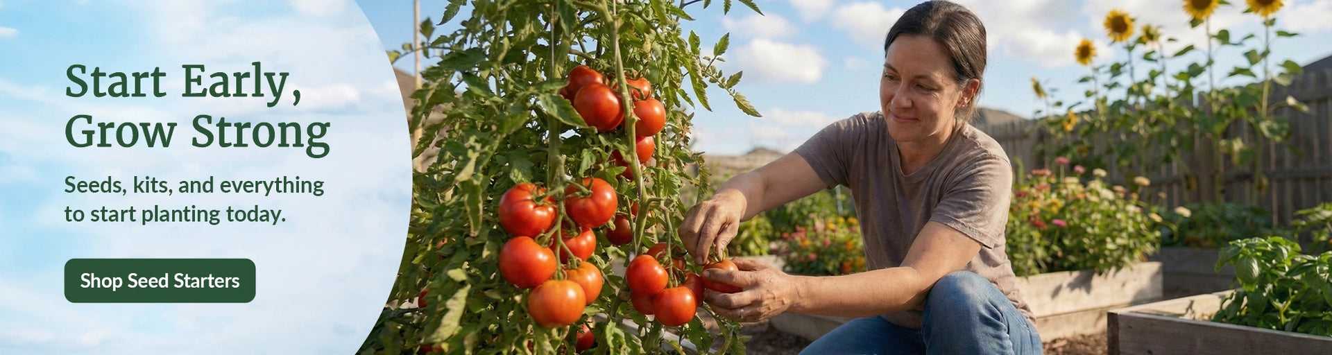 Woman harvesting ripe tomatoes from a raised garden bed beside a banner reading “Start Early, Grow Strong” with a button to shop seeds and starter kits.