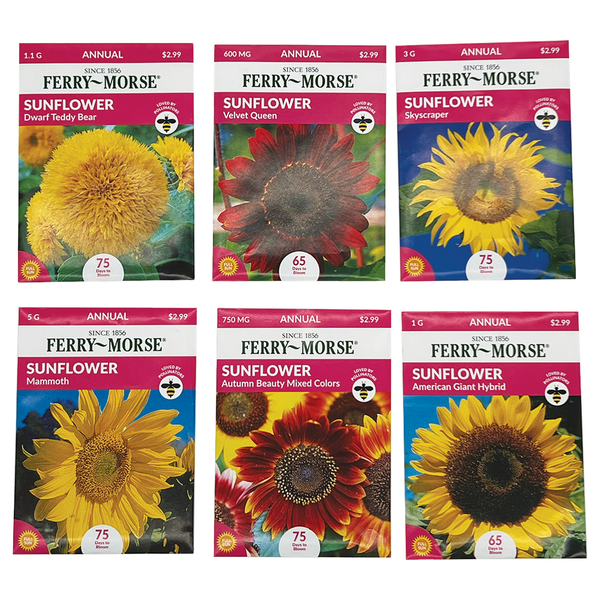 "Grow the Sunshine" Sunflower Seed Bundle (6 Pack)