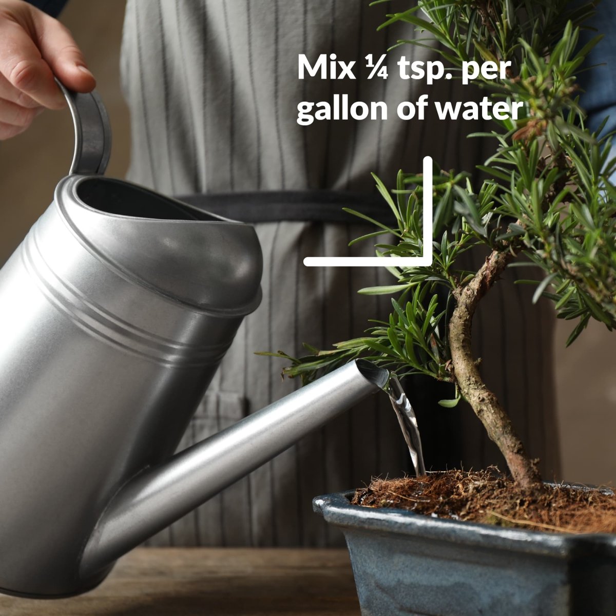 best plant food for bonsai trees SUPERthrive Bonsai-Pro 7-9-5 Plant Food, 32 oz