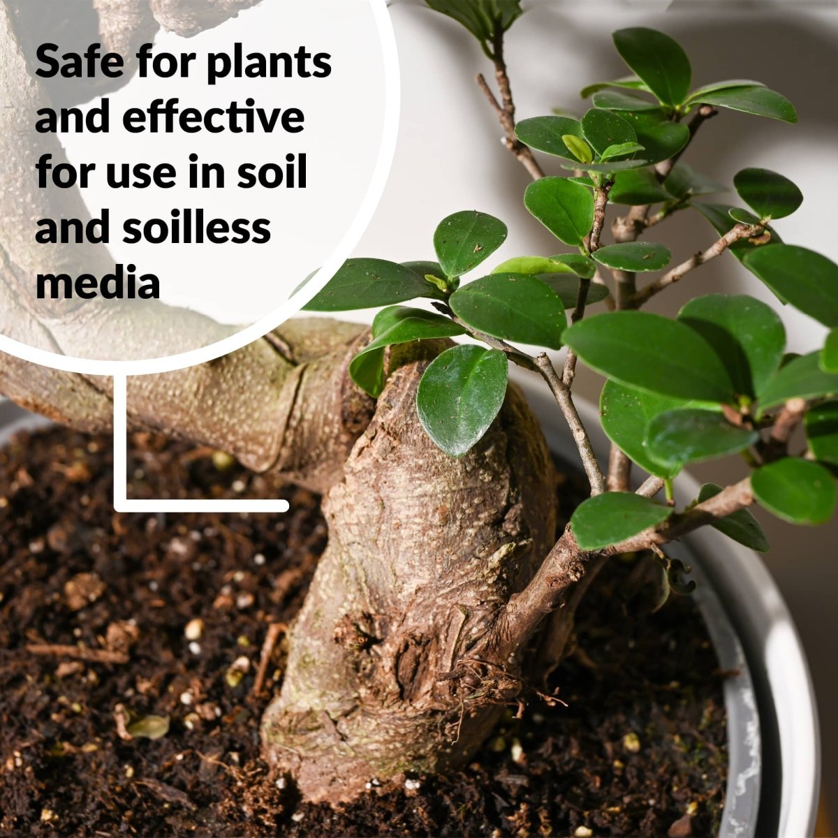 bonsai tree plant food SUPERthrive Bonsai-Pro 7-9-5 Plant Food, 32 oz