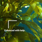 SUPERthrive Plant Vitamin Solution with Kelp, 1 Qt.