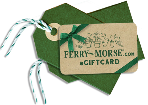 Tag-Gift-Card-HP-Hero-Desktop.png__PID:bf9ac489-2598-4280-a92e-fa7fb1cbecbe