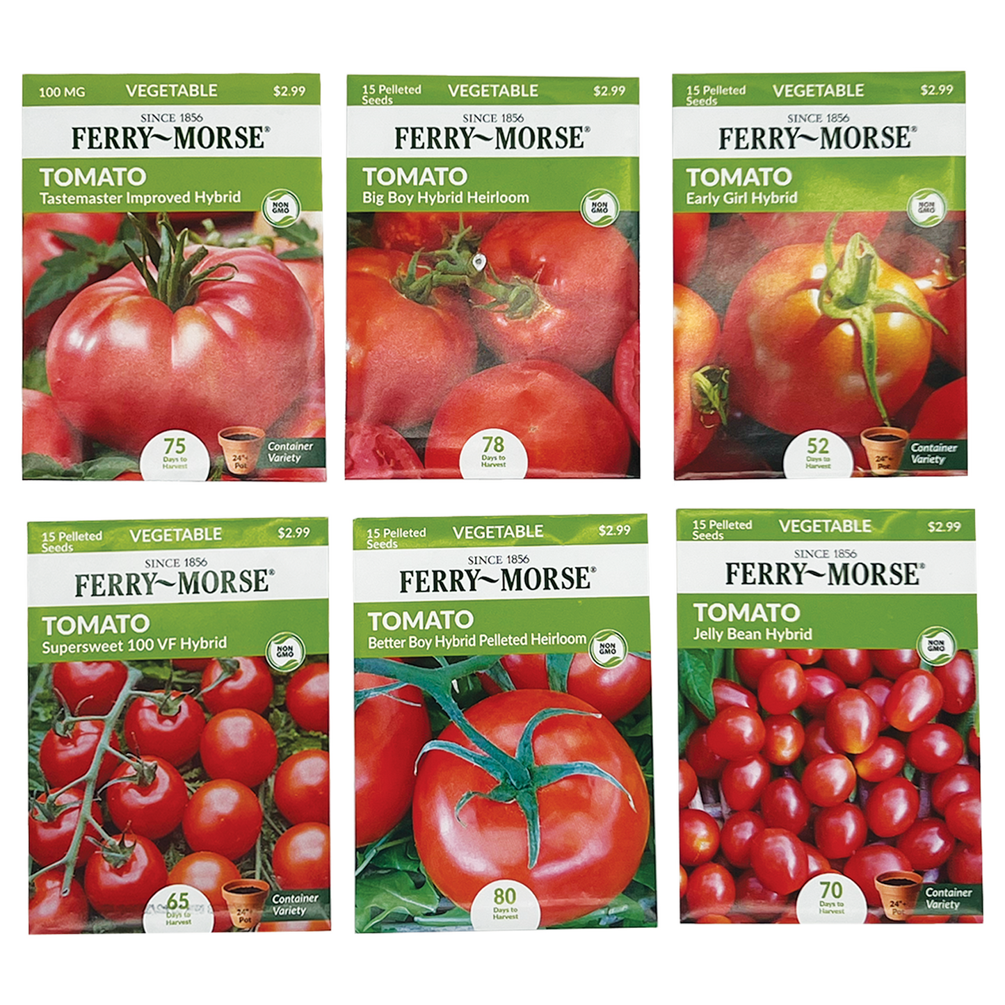 Tomato Lover Seed Bundle (6 Pack)