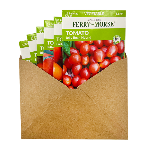 Tomato Lover Seed Bundle (6 Pack)