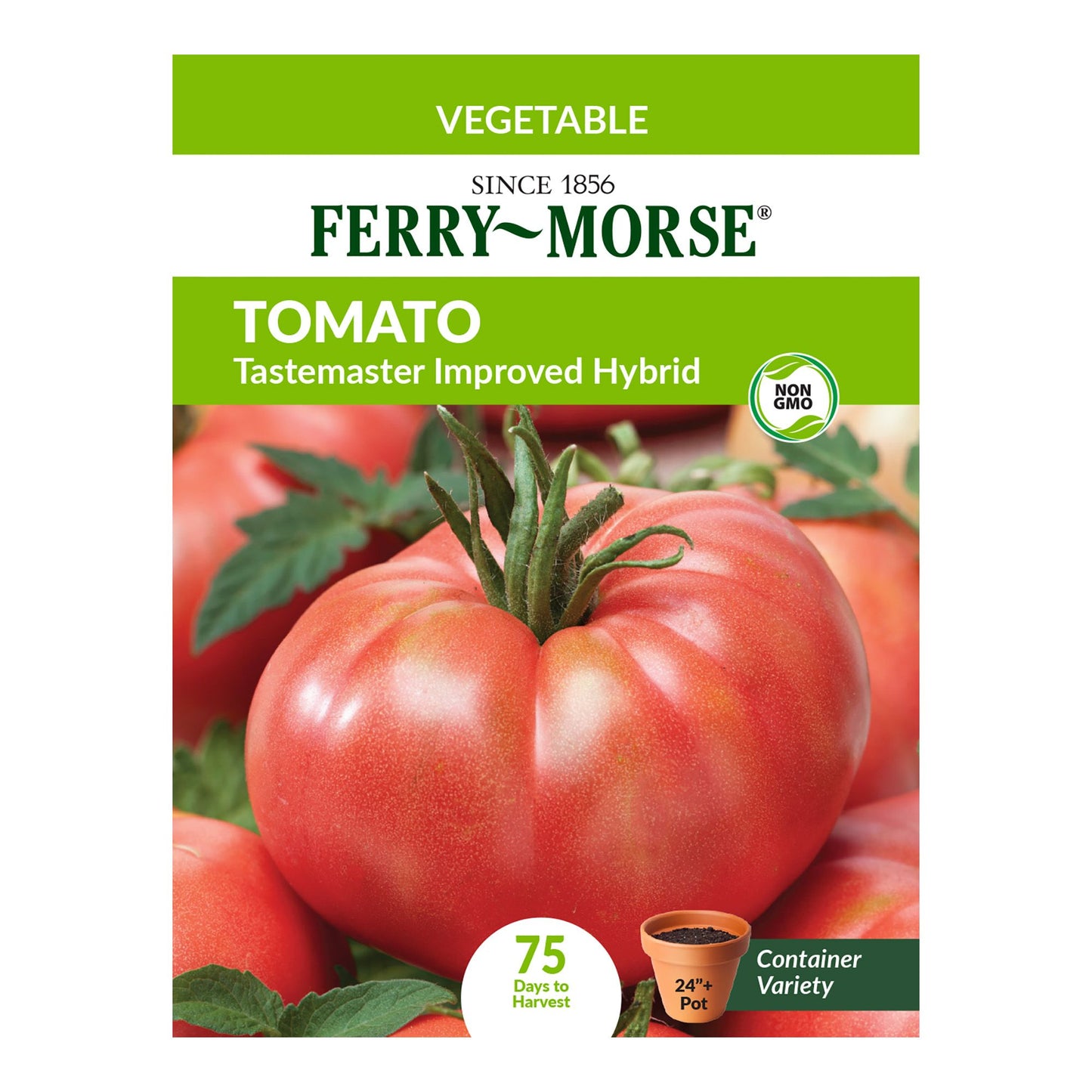 Tomato, Tastemaster Improved Hybrid Seeds