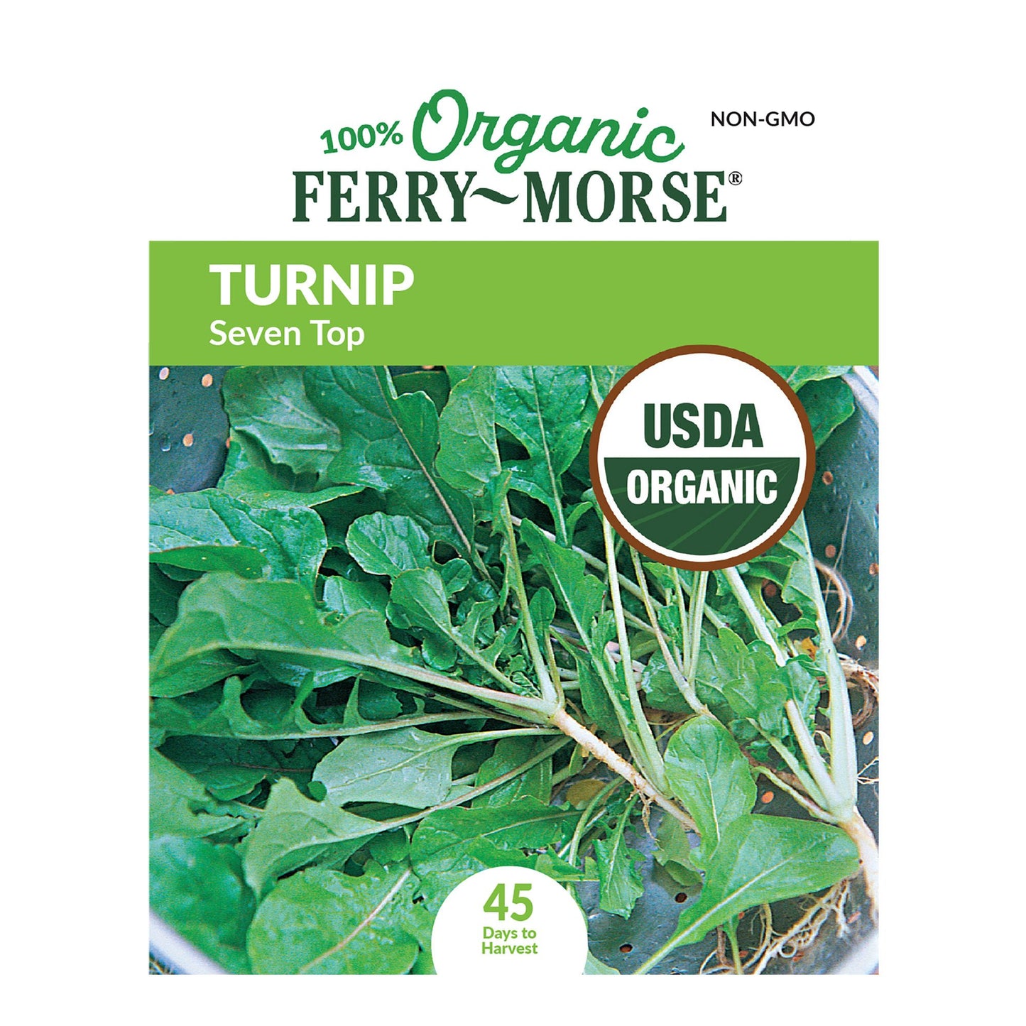 Turnip, Seven Top Organic Seeds