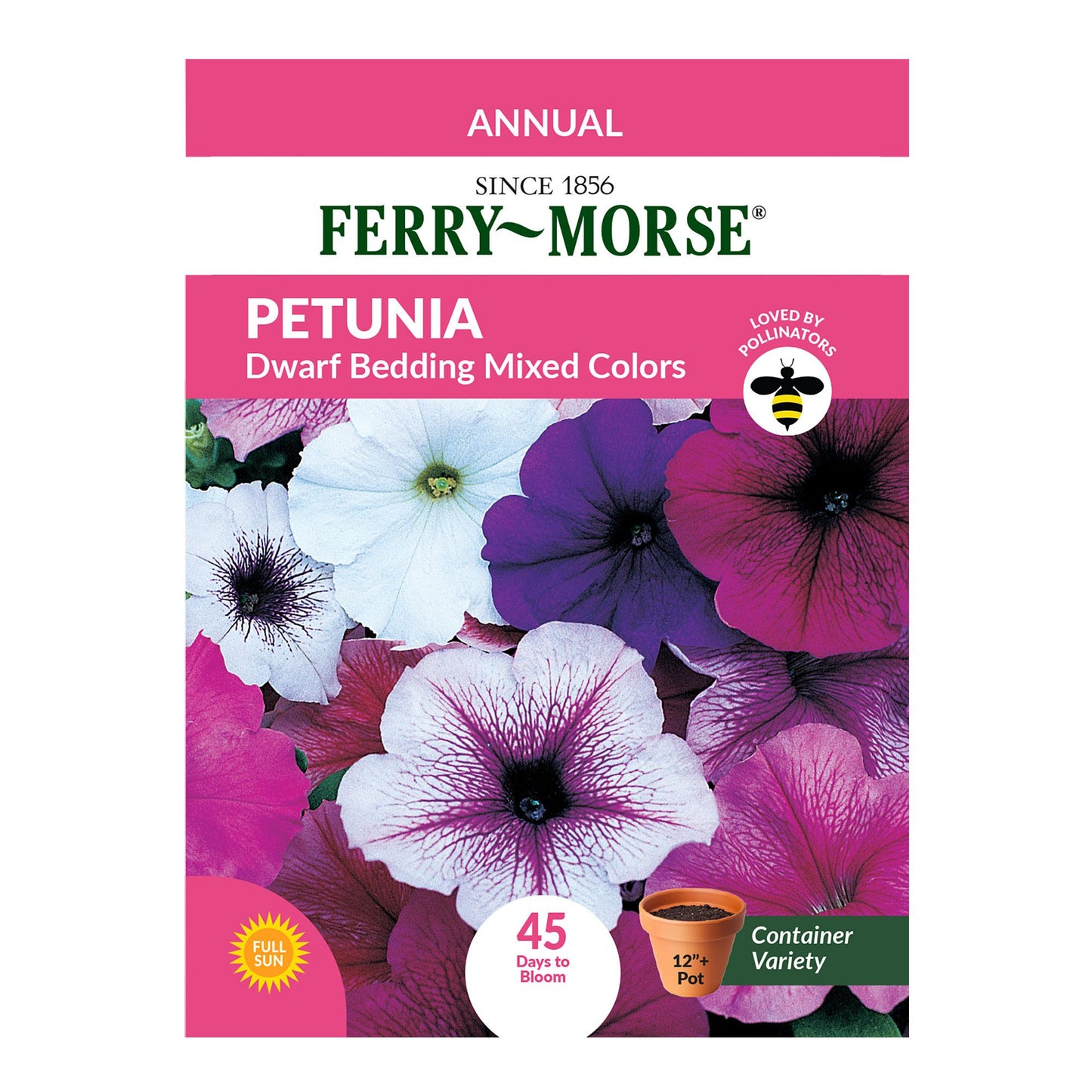 Petunia, Dwarf Bedding Mixed Colors Seeds