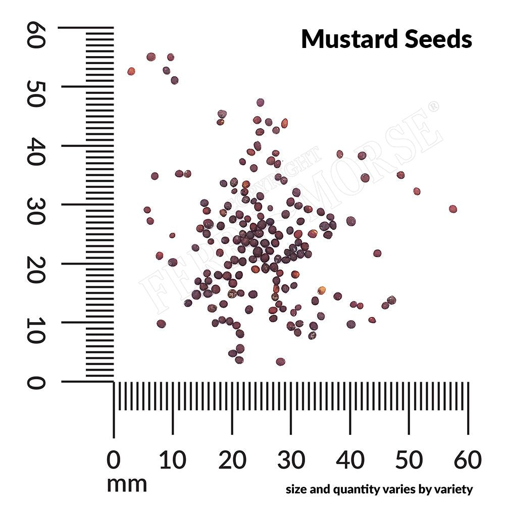 Mustard, India Florida Broadleaf Organic Seeds