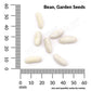 Bean, Blue Lake Stringless Pole Organic Seeds