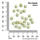 Pea, Alaska Wilt Resistant Economy Seeds