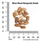 Bean, Royal Burgundy Seeds Online Edition