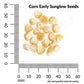 Sweet Corn, Early Sunglow Hybrid Seeds Online Edition