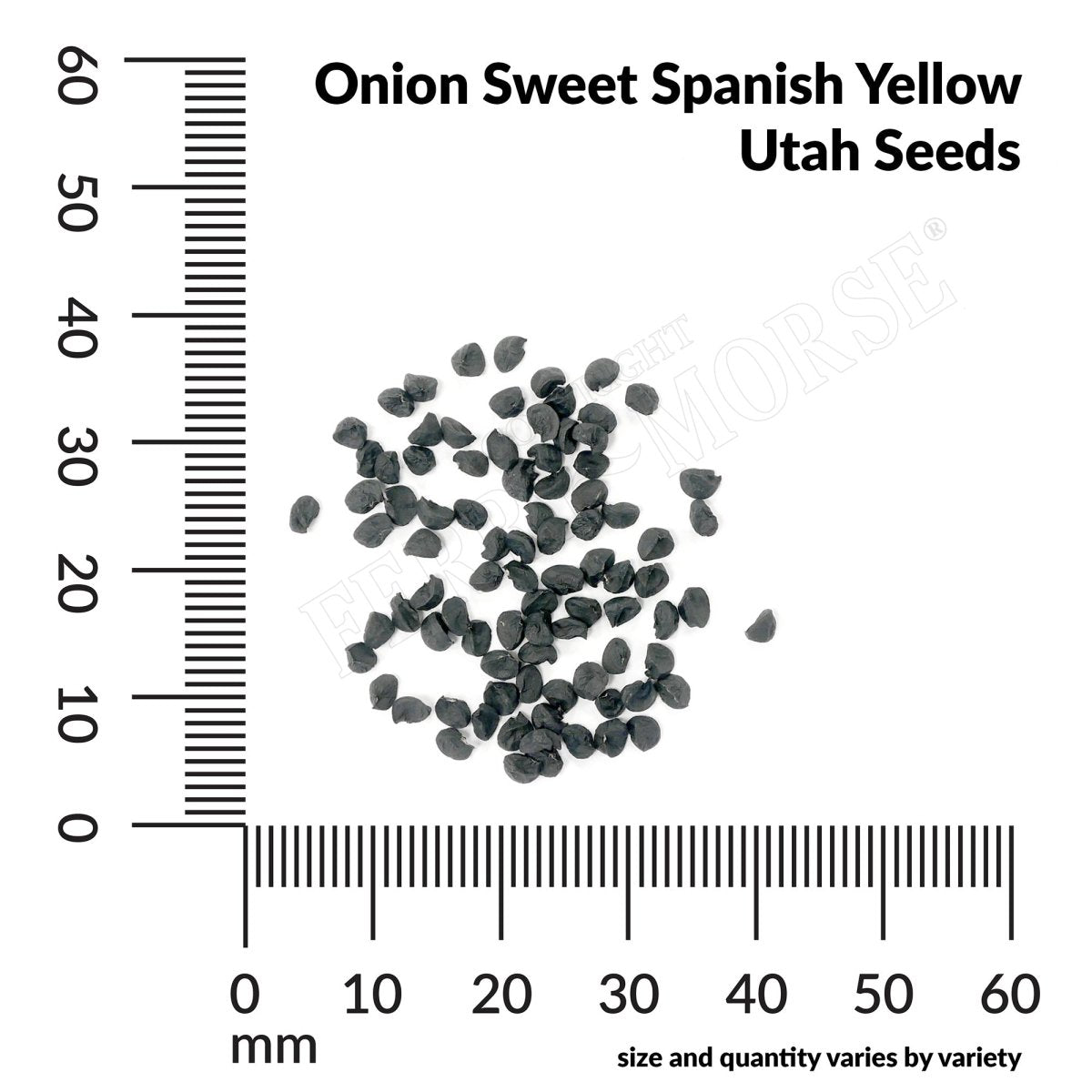 utah garden seeds Onion Sweet Spanish Yellow Utah Seeds 1.4g from Ferry-Morse Seeds