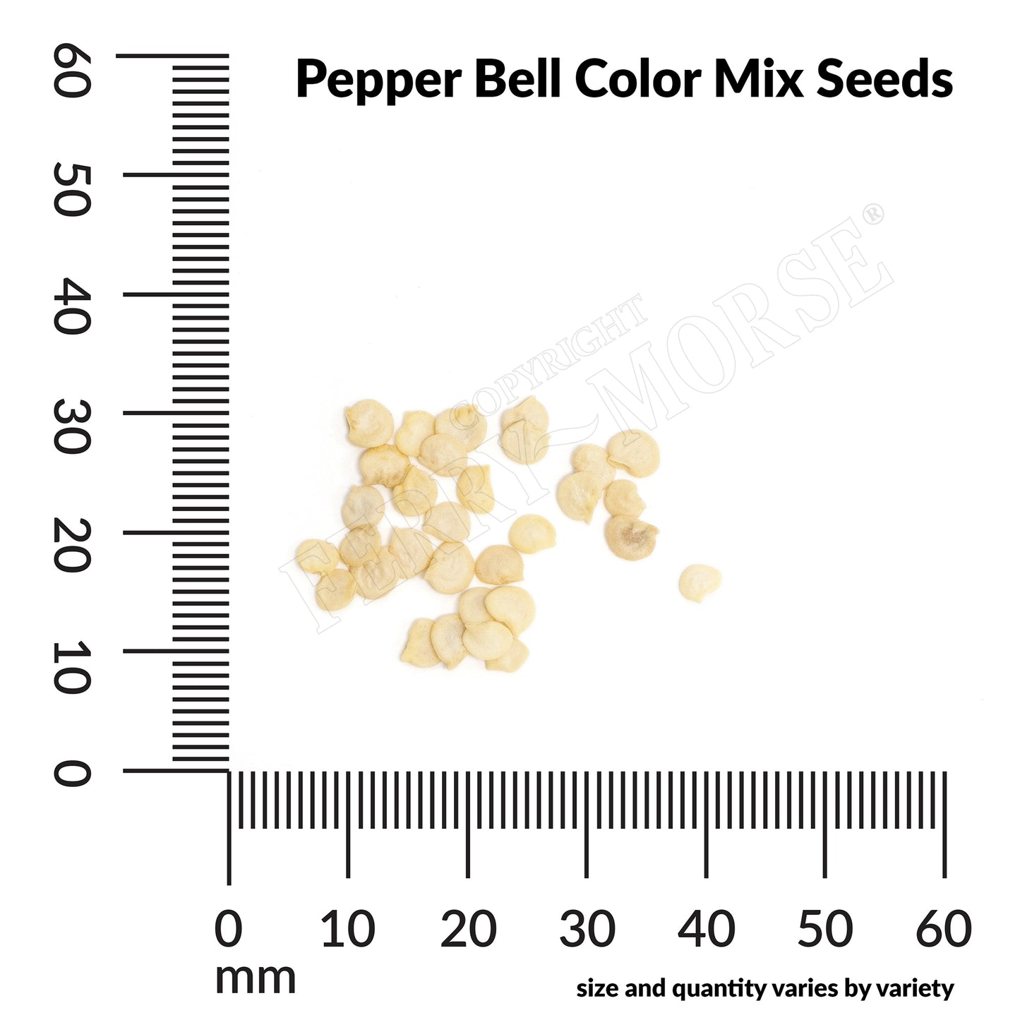 Pepper, Rainbow Blend Mix Organic Seeds Online Edition