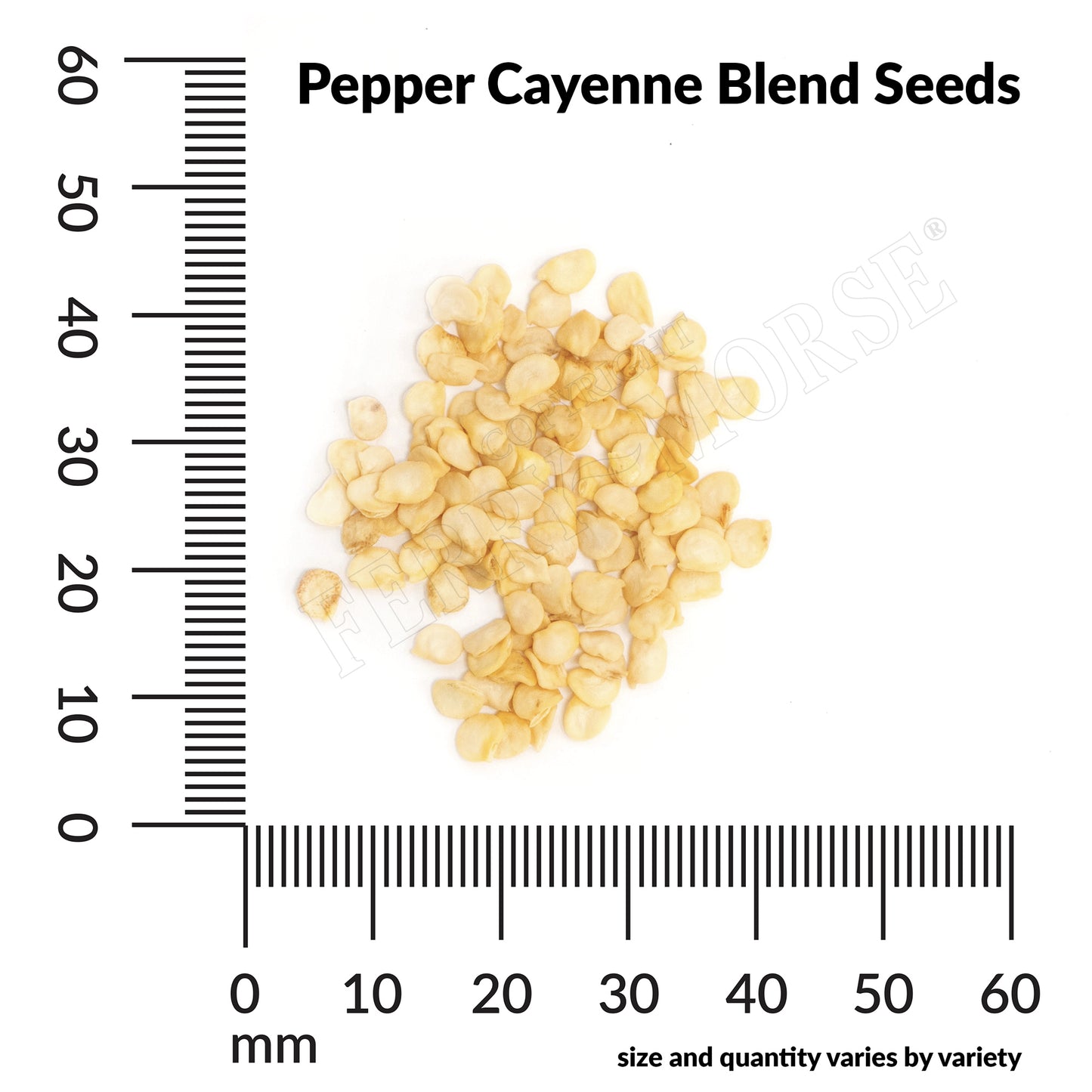 Pepper, Cayenne Blend Seeds Online Edition