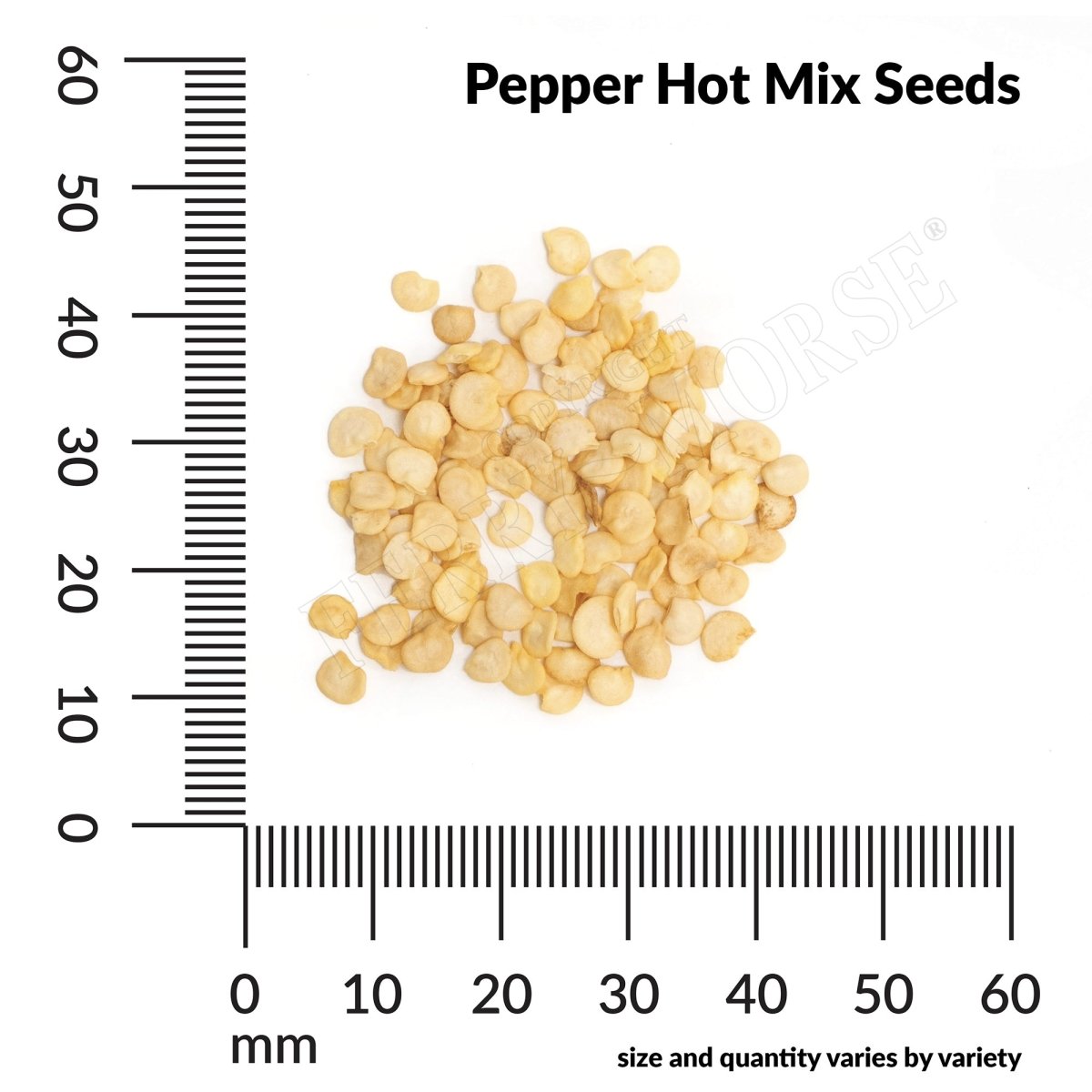 Pepper Hot Mix Seeds | Spicy Pepper Blend | Hot Pepper Seeds
