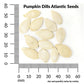 Pumpkin, Dills Atlantic Seeds Online Edition